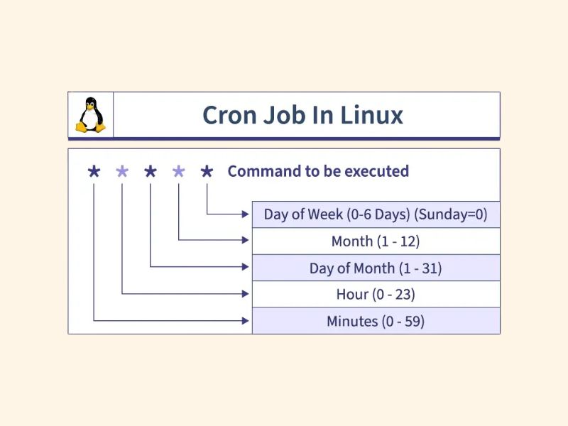 سینتکس کرون جاب