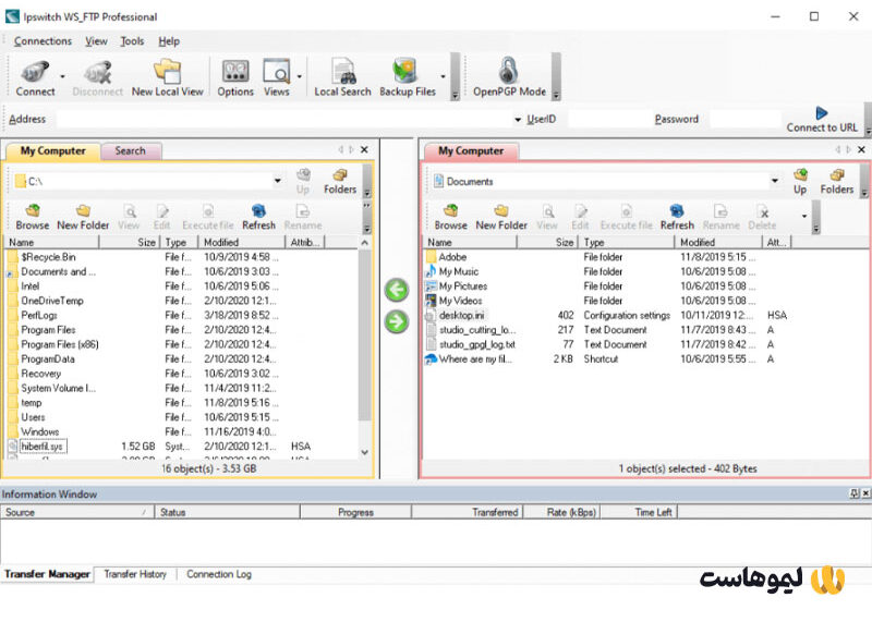 رابط کاربری WS_FTP Professional