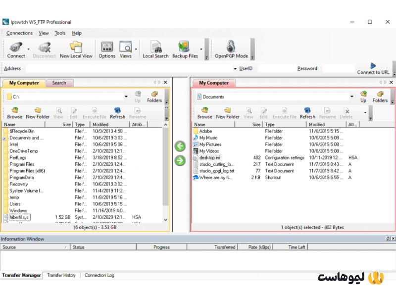 رابط کاربری WS_FTP Professional