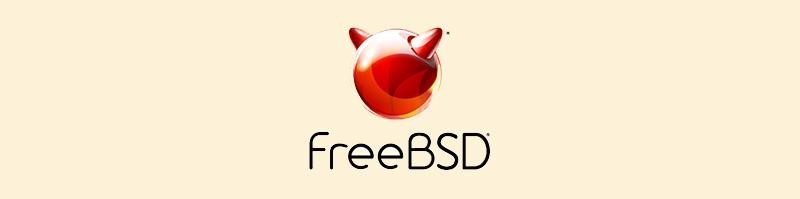 Ø³ÛŒØ³ØªÙ…â€ŒØ¹Ø§Ù…Ù„ Ø³Ø±ÙˆØ± FreeBSD