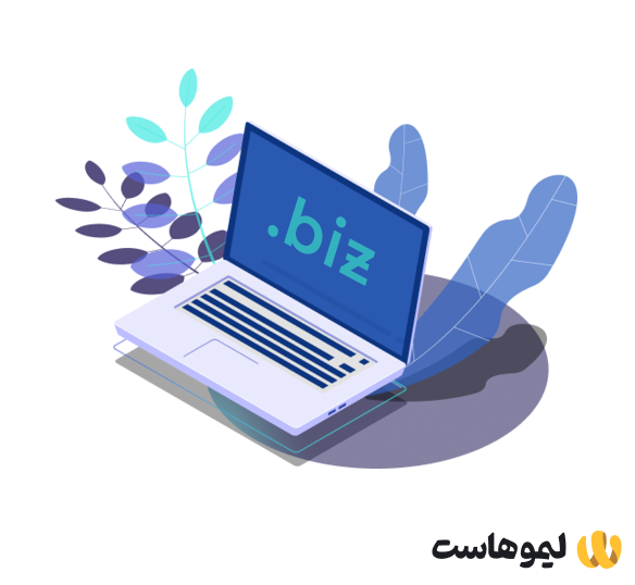 دامنه biz چیست؟ نحوه ثبت و خرید دامنه بیز + مزایا