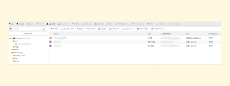 آموزش استفاده از File Manager در cPanel 