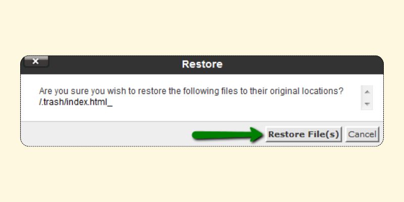 آموزش استفاده از File Manager در cPanel 