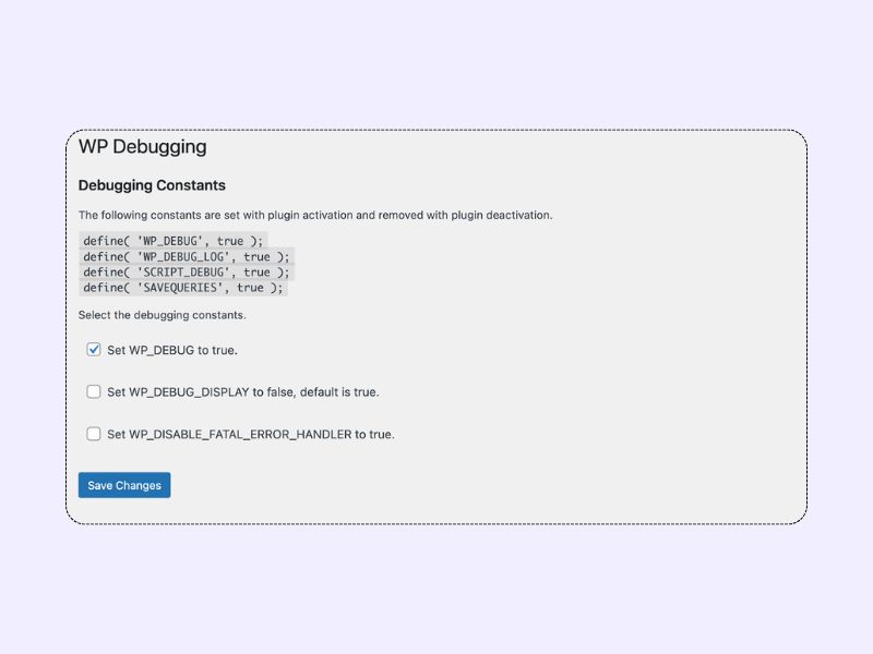 داشبورد افزونه wp debugging