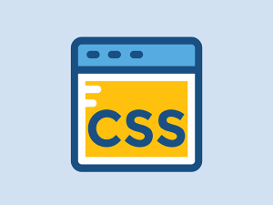 رفع خطا unused CSS در وردپرس